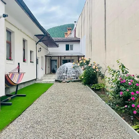 Schei Brasov-Скей Брашов Apartment Exterior photo