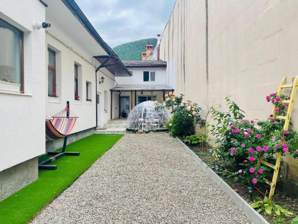 Schei Brasov-скей Apartment Brasov
