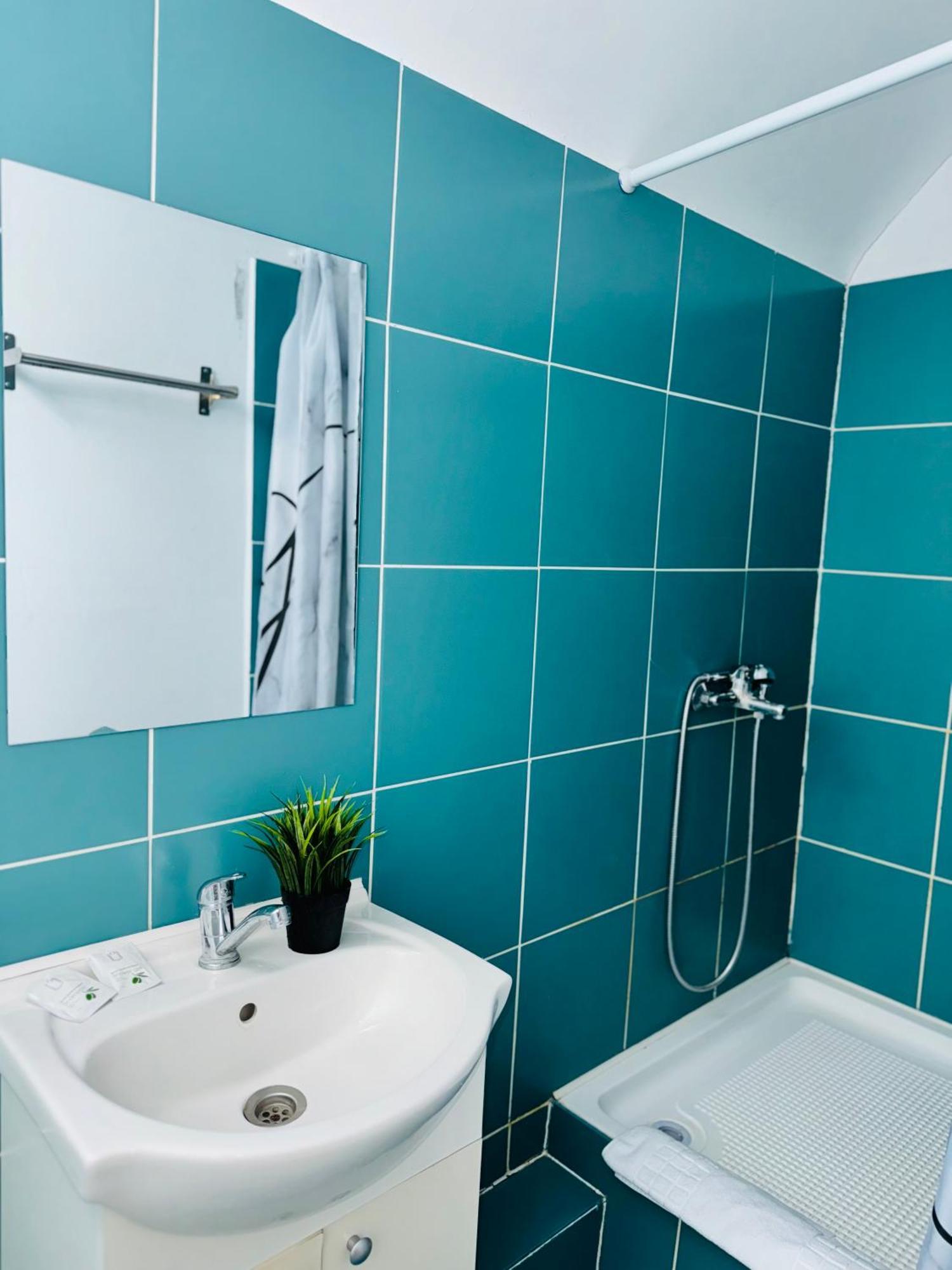 Apartment Schei Brasov-скей